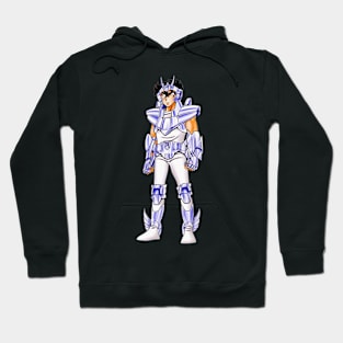 Pegasus Seiya in Bronze Saint - Cloth V2 - Saint Seiya Hoodie